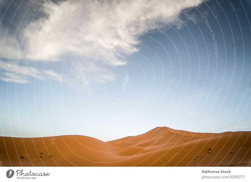 Cloud over sand dune in desert Dune Desert Sand Clouds Sky Morocco Sunbeam Day Landscape Nature Dry Wave Hot Warmth Heat arid Deserted Calm tranquil Serene