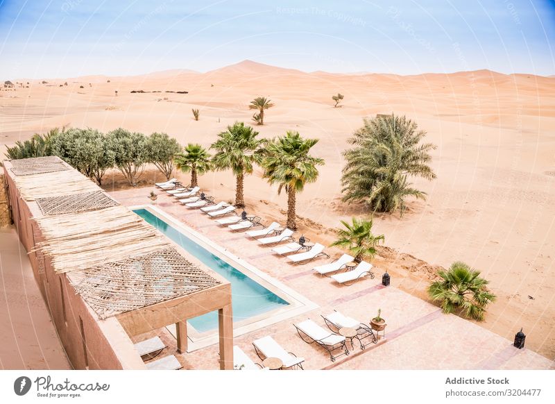 Poolside of exotic hotel in desert poolside Desert Morocco Hotel Resort Oasis Summer Architecture Vacation & Travel Stone Leisure and hobbies Landscape
