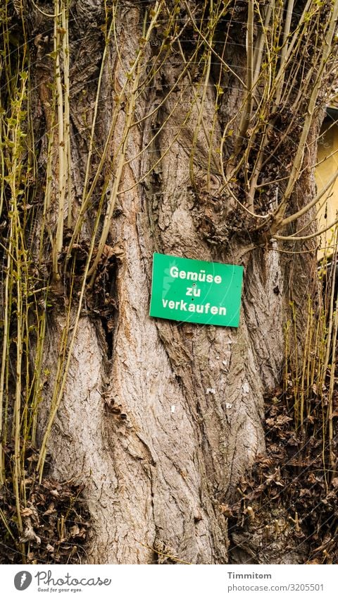 AST 7 | Strange seller Food Vegetable Nutrition Plant Tree Lake Constance Wood Signs and labeling Signage Warning sign Brown Yellow Green Emotions farm shop
