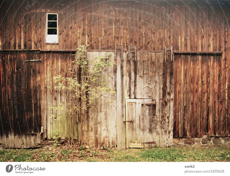 door and gate Tree Grass Building Barn Barn door Window Door Wooden wall Old Historic Past Transience Ravages of time Weathered Sliding gate Colour photo