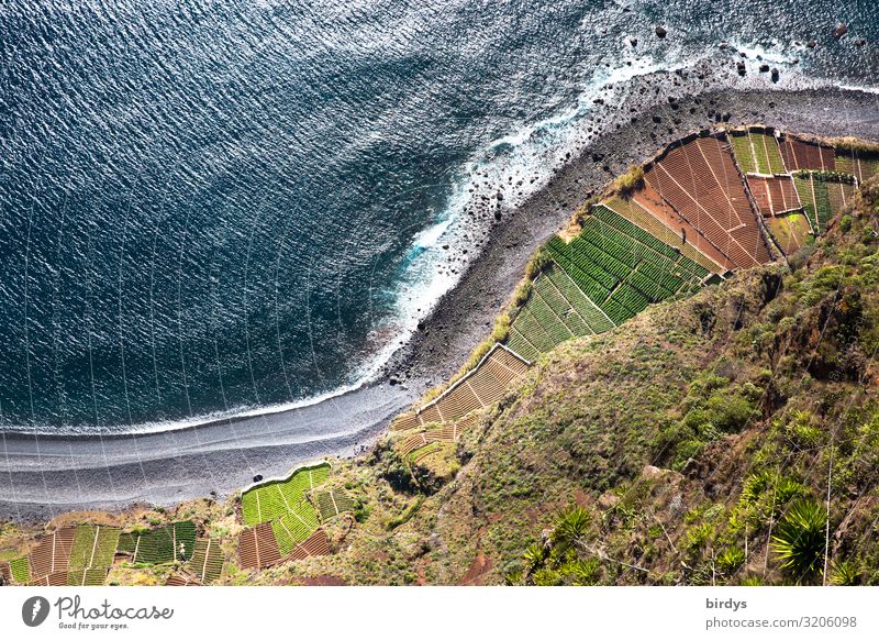 winding coast from above Agriculture Forestry Nature Landscape Water Climate change Field Waves Coast Beach Ocean Atlantic Ocean Madeira Authentic Tall Maritime