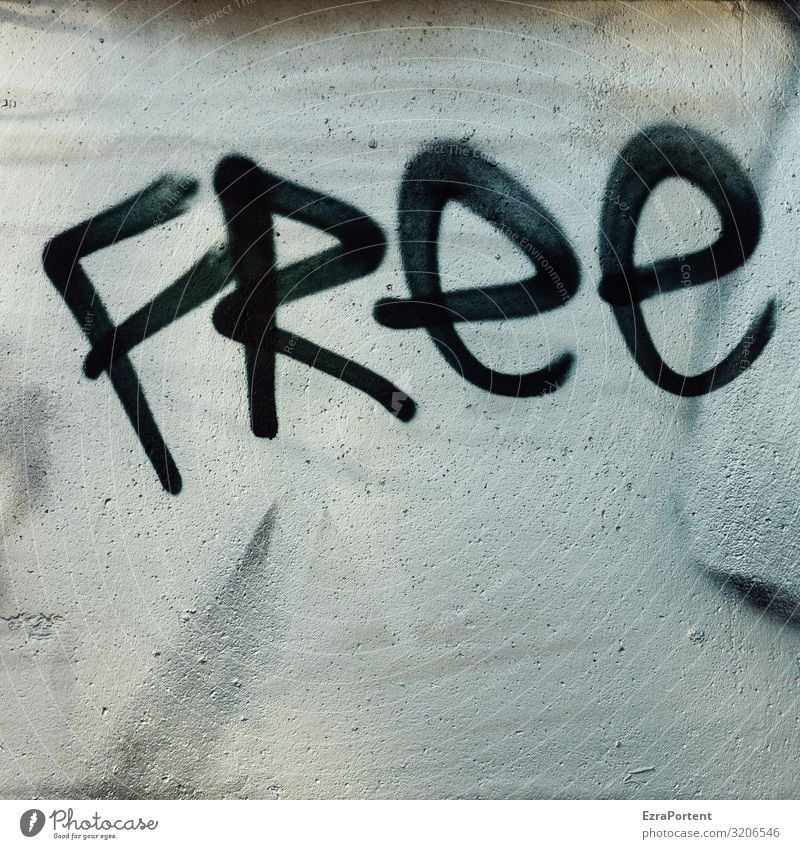 the word freely translated into English and then sprayed onto a concrete wall with a paint spray can (black paint) Black White Free Freedom Word Facade Graffiti