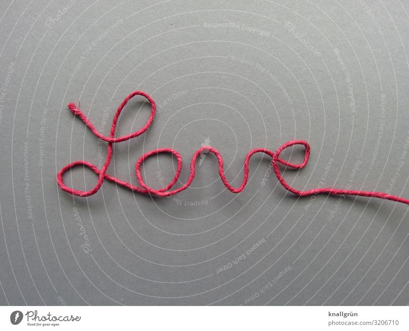 love Characters Communicate Gray Pink Emotions Love paper wire cursive Handicraft Colour photo Studio shot Deserted Copy Space left Copy Space right