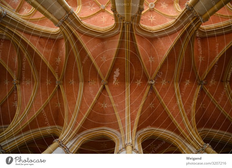 church Harmonious Calm Meditation Church Discover Illuminate Monastery Gothic period Ceiling Stars Sky Interior shot Deserted