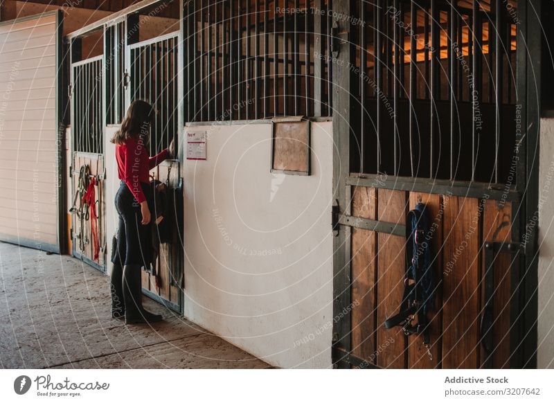Woman standing in horse stable woman stall occupation ranch equestrian care caress professional jokey rural countryside work equine farm summer entrance gate