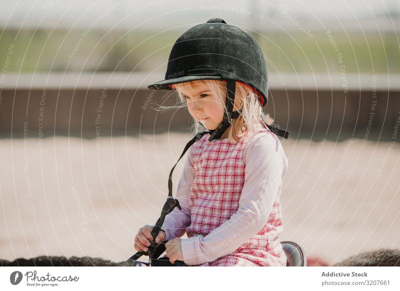 Little girl riding horse on hippodrome sport ride portrait racetrack equestrian child practice childhood learn kid adorable little jockey rural happy animal