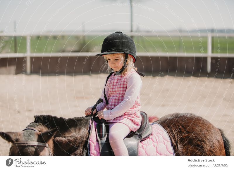 Little girl riding horse on hippodrome sport ride portrait racetrack equestrian child practice childhood learn kid adorable little jockey rural happy animal
