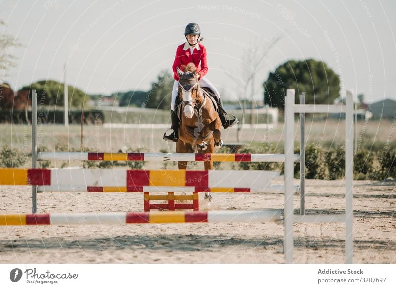 Teen girl riding horse and jumping over bars woman racetrack ride sport animal equestrian training active leap horseback equine purebred event motion barrier