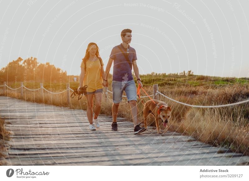 Casual adult couple walking with dog along rural pathway modern casual countryside playful beamed leash brown sunset wooden woman happy greenery daylight pet