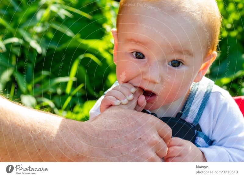 Baby chews his father's thumb Hand Discover Green Together bit biting bright chewing closeness cute day experience exploring fingers head innocence mouth new
