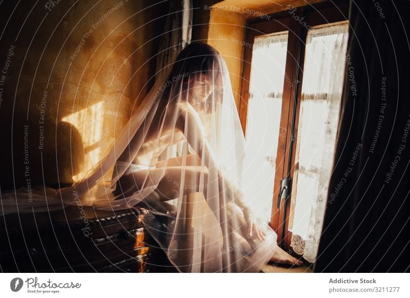 Sensual woman under veil near window sensual provocative mysterious intimate charming purity transparent naked window sill sitting sunbeam enigma glow young