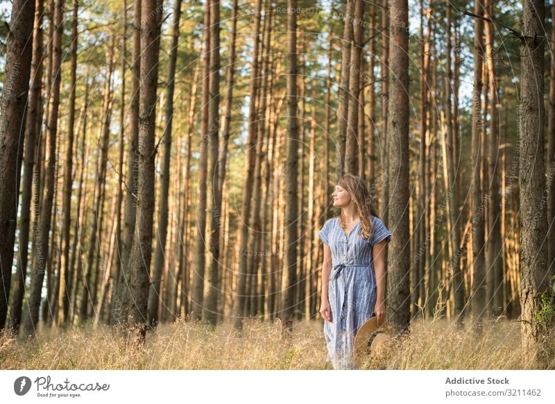 Smiling young woman relaxing among pine trees beam woods carefree sunlight forest happy nature casual sensual golden adventure smiling straw hat blond dress