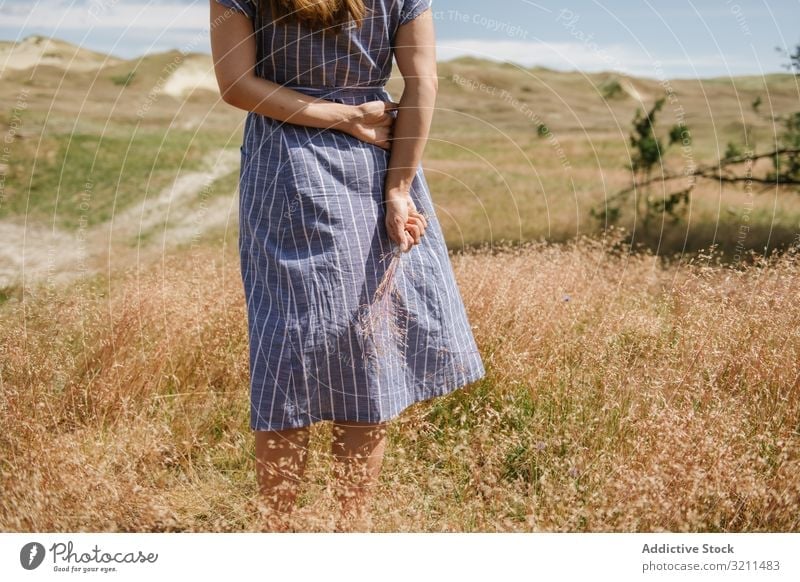 Young woman gathering dried spikes field grass countryside gold dress wisp stand freedom sunshine summer rural nida lithuania farmland enjoyment young adult