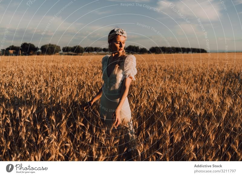 Woman in middle of wheat field woman boho lace beautiful style tender bride sensual natural summer romantic wedding blonde straw hippie lifestyle nature female