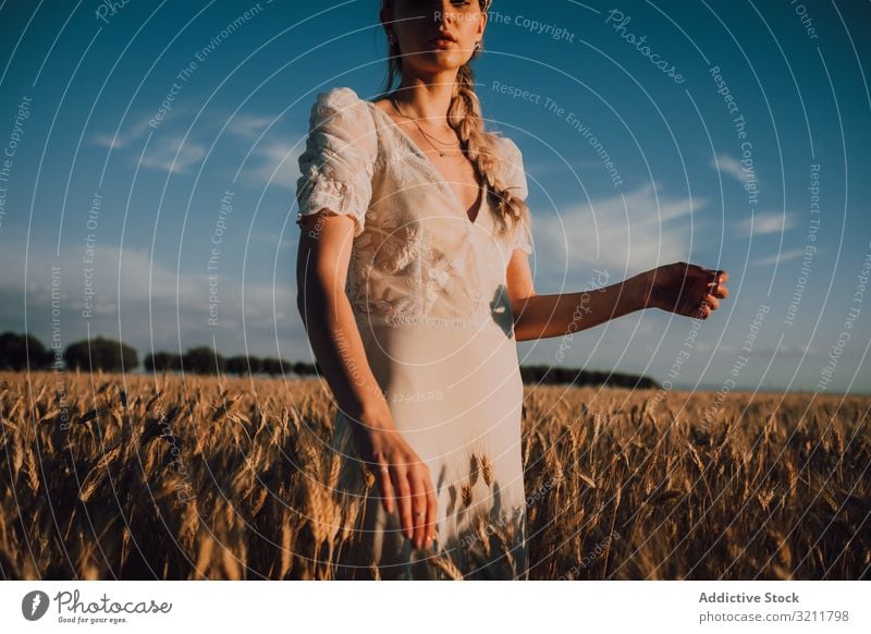 Woman in middle of wheat field woman boho lace beautiful style tender bride sensual natural summer romantic wedding blonde straw hippie lifestyle nature female