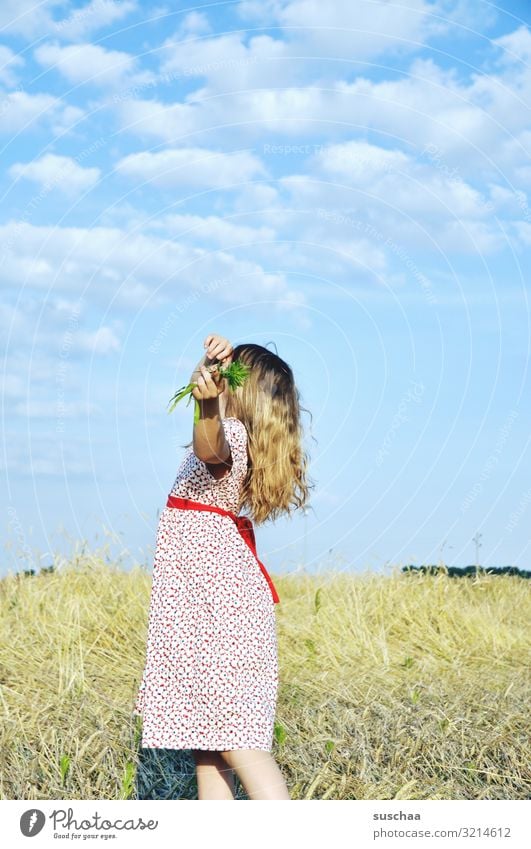 girl on a summer straw field with grasses in her hand, seen from the side Child Summer Dress Grain field Looking well-behaved Posture Summery Beautiful weather