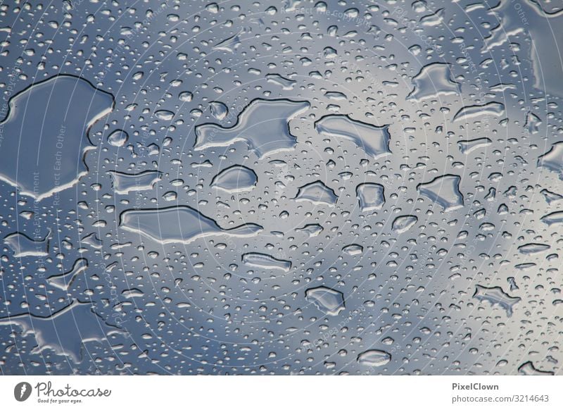 water drops Lifestyle Style Design Water Drops of water Climate Rain Beautiful Blue Environment Environmental protection Colour photo Exterior shot Close-up