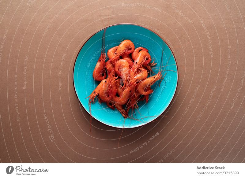 Red tasty shrimps in bright blue plate prawn crustacean delicatessen seafood ingredient fresh sauce appetizing dinner luxury natural snack omega freshness