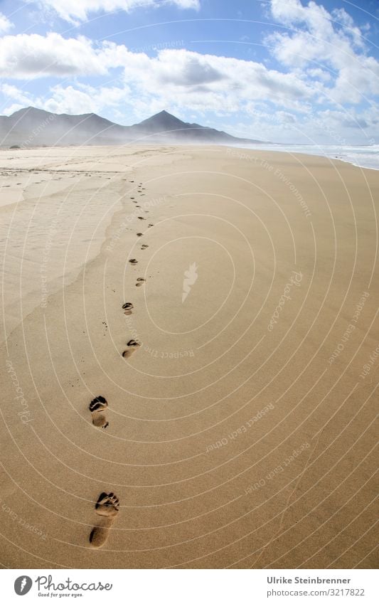 Line with footprints in the sand of Playa de Cofete in Fuerteventura Vacation & Travel Tourism Trip Freedom Beach Ocean Island Feet Environment Nature Landscape