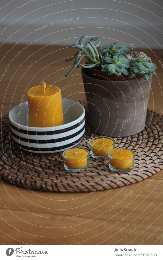 Wooden floor beeswax candle natural Decoration Candle Natural Brown Yellow Bowl Flowerpot Sedum straw set Table decoration oak floor Floorboards