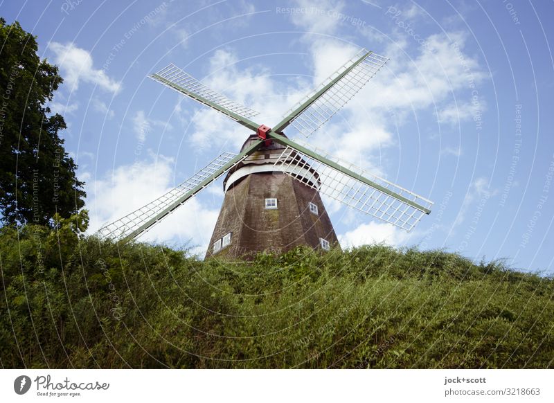 Type of miller Agriculture Architecture Sky Clouds Beautiful weather Tree Bushes Müritz Windmill Landmark Windmill vane Authentic Historic Tall Sustainability