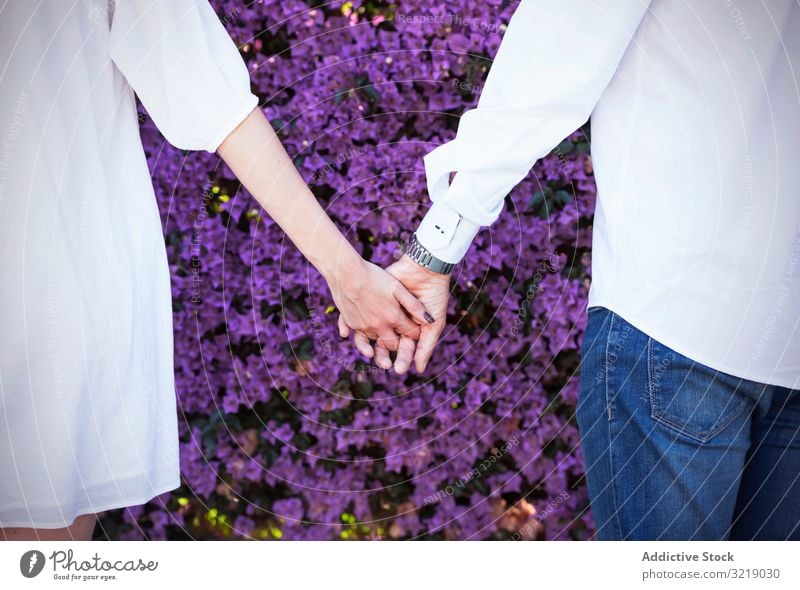 Crop couple holding hands near blooming bush flower park spring love violet man woman together romantic date plant flora blossom shrub tender garden season