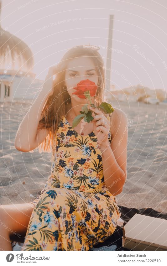 Woman sitting and sniffing rose at beach looking at camera woman romantic thoughtful pensive sunny love happy summer dream sand flower amorous present tender