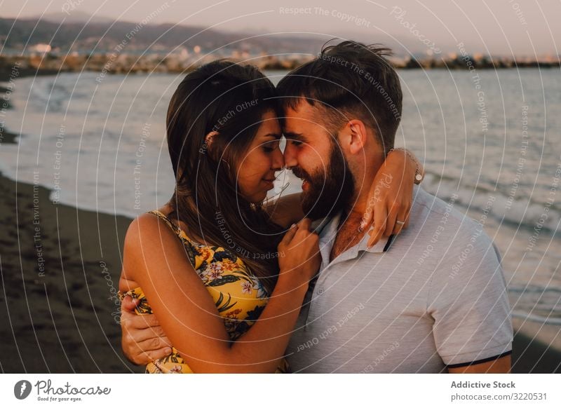 Amorous man carrying woman on arms along sandy beach couple walking seaside lovely amorous romantic happy together vacation relationship embracing enjoyment