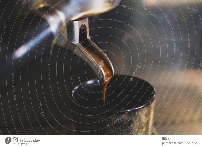Espresso runs from a portafilter coffee machine into an espresso cup Coffee To enjoy screen carrier machine Coffee maker Detail Close-up coffee preparation