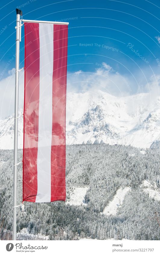 fly the flag Vacation & Travel Tourism Far-off places Winter Winter vacation Mountain Beautiful weather Ice Frost Snow Alps Peak Snowcapped peak Flag Austria