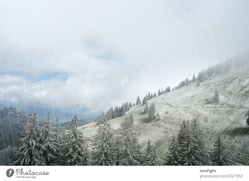 icing sugar Snow first snow mountains Allgäu trees Nature Lonely Hill Weather onset of winter Autumn Hiking travel chill Cold