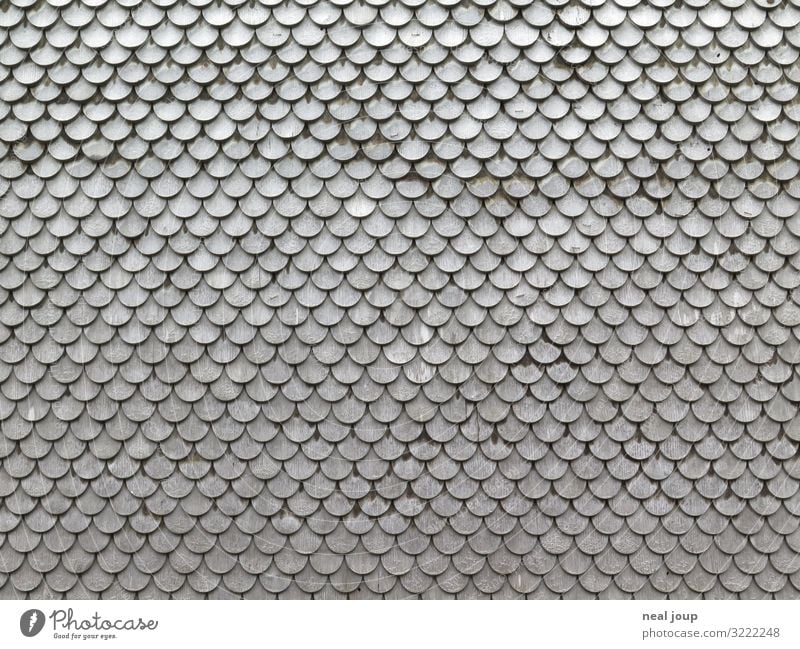 Scales Scales Scales Vacation & Travel Tourism Austria Barn Wall (barrier) Wall (building) Roofing tile Wood Old Esthetic Uniqueness Sustainability Cliche Gray