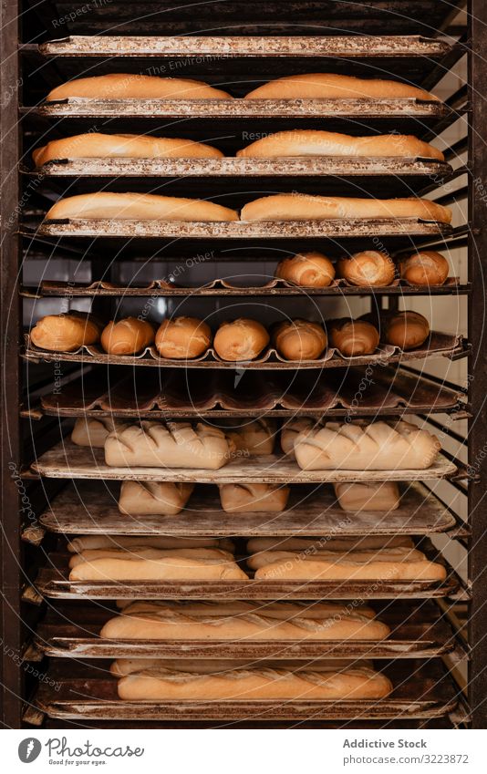 Shelves with fresh bread and buns bakery rack tray shelf pastry food loaf tasty delicious yummy crust many set quality small business preparation gourmet baked