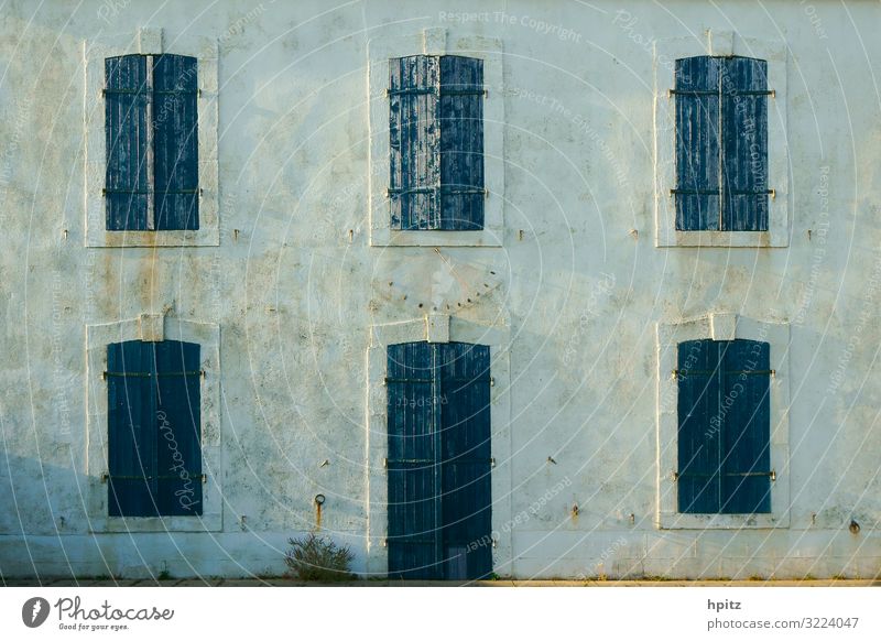 blue-green-grey Deserted House (Residential Structure) Building Facade Window Blue Gray Empty Colour photo Exterior shot Evening Central perspective