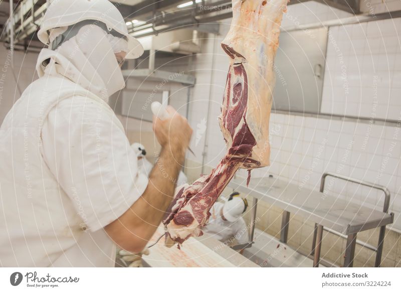 Butcher in uniform cutting carcass with knife in slaughterhouse butcher meat raw fresh beef butchery chop industry rustic protein nutrition person work slicing