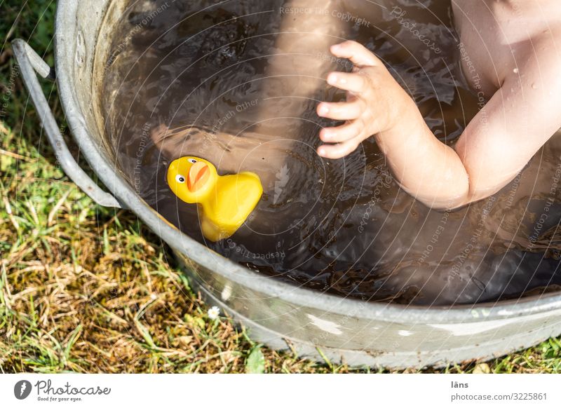 bathing day Child Bathtub Squeak duck Duck Grasp Exterior shot
