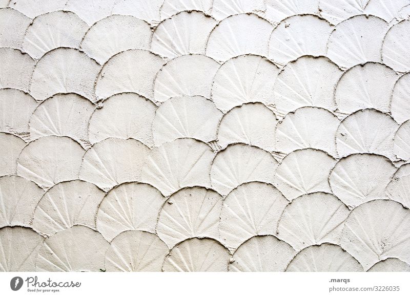 kin Wall (barrier) Wall (building) Bright Round White Colour Structures and shapes Colour photo Close-up Pattern Deserted Copy Space left Copy Space right