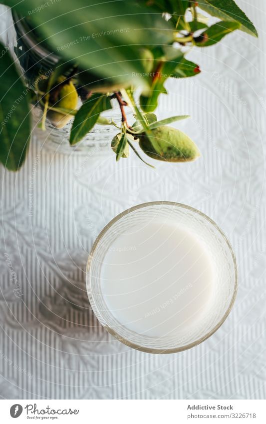 Glass of almond milk on kitchen table glass plant green lace cloth food diet organic healthy fresh vegetarian beverage drink natural nutrition breakfast sweet