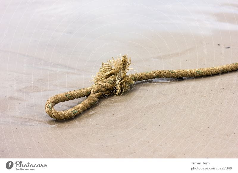 rope end Vacation & Travel Environment Nature Elements Sand Water Beach North Sea Denmark Rope Loop Knot Bow Lie Old Broken Brown White Emotions Useless