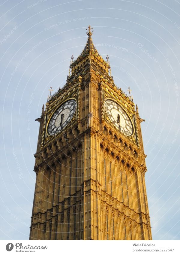 Big Ben: spire with clock from frog's perspective in golden evening light London Vacation & Travel Tourism Clock Capital city Downtown Tower Manmade structures