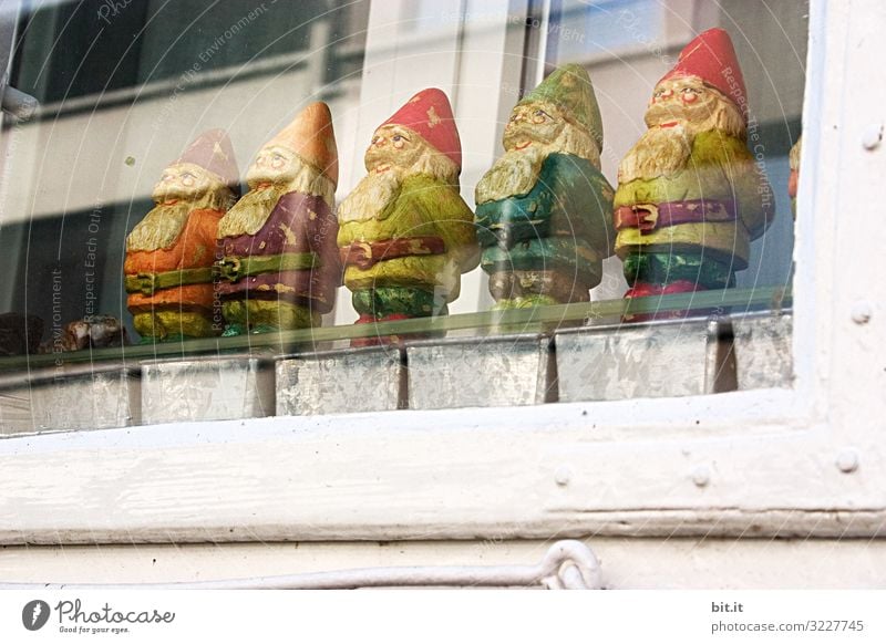 farsighted l Dwarves miss the mountains Decoration Kitsch Odds and ends Garden gnome Souvenir Collection Homesickness Wanderlust Dwarf Captured Colour photo