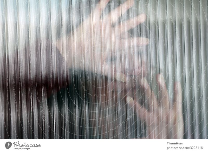 Closer look... hands Fingers Human being Face Glass corrugation Imprint Touch Light Shadow indistinct Hand Interior shot fumble lines Woman proximity Playful