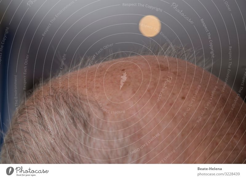 I lost my hair. Beautiful Hair and hairstyles Skin Care of the elderly Masculine Male senior Man Body Head Moon Flare Light Old Observe Touch Discover