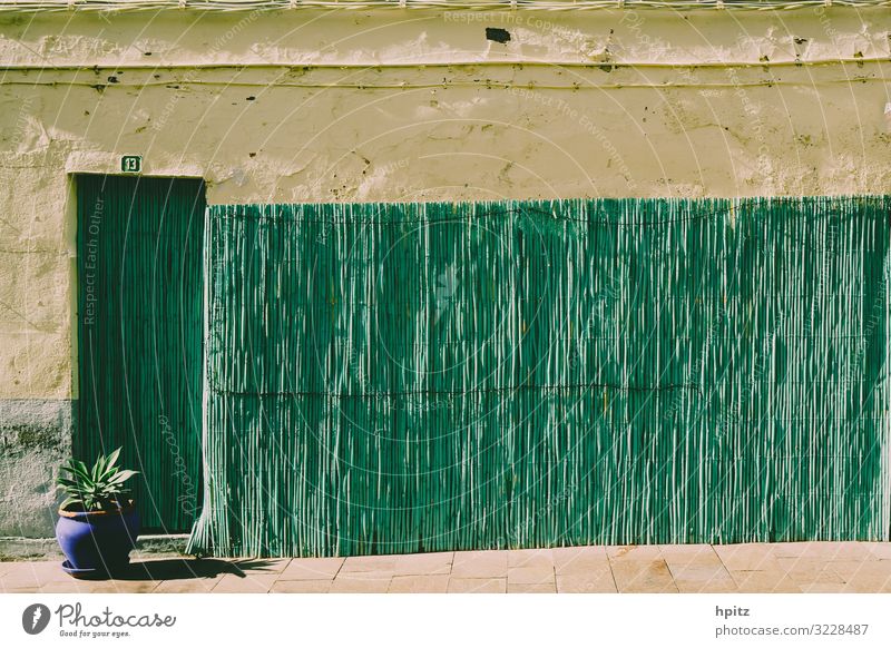 13 Wall (barrier) Wall (building) Facade Ornament Line Yellow Green Warm-heartedness Calm Colour photo Exterior shot Deserted Copy Space top Evening