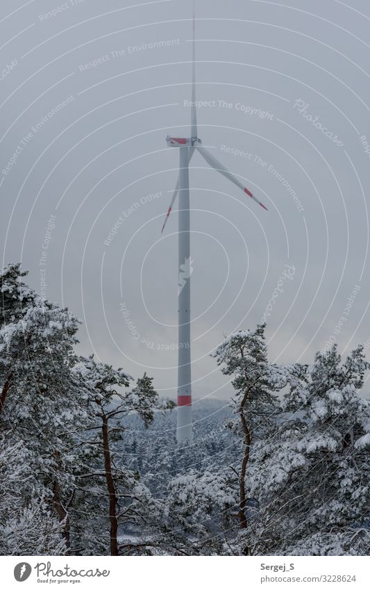 wind power Winter Snow Energy industry Wind energy plant Energy crisis Nature Landscape Animal Sky Clouds Forest Rotate GörauerAnger Pinwheel Colour photo