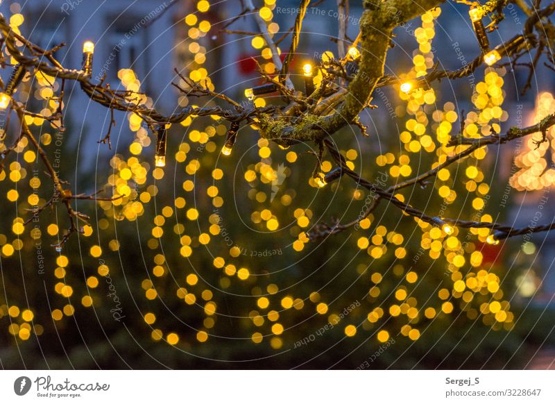 lights Winter Christmas & Advent Kulmbach Deserted Yellow Orange Fairy lights Blur Colour photo Exterior shot Close-up Detail Copy Space left Copy Space right