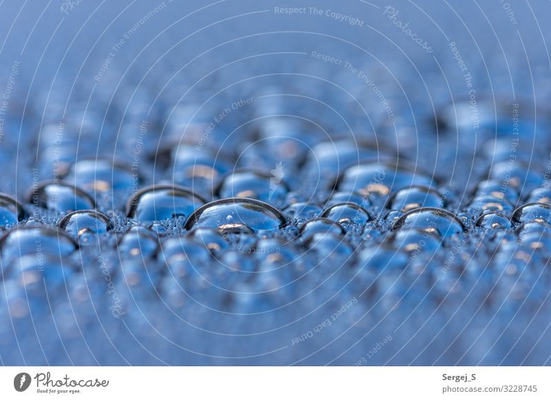 trickle Environment Water Drops of water Near Wet Blue Spring2019 Colour photo Exterior shot Close-up Macro (Extreme close-up) Deserted Copy Space left