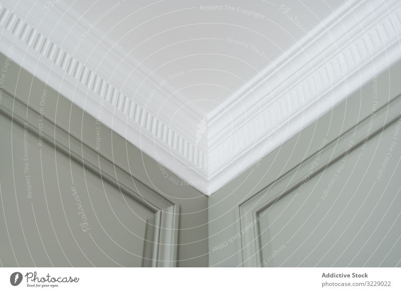 Decorative baseboard in luxurious interior molding classic ceiling decorative ornate empty room wall white detail light gray exclusive matte house home rich
