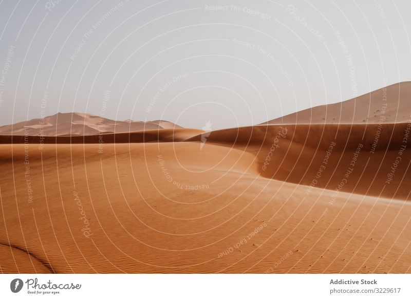 Sandy dune in arid desert sand sky gray morocco africa nature dry landscape hill wilderness nobody cloudless weather hot warm drought terrain calm tranquil