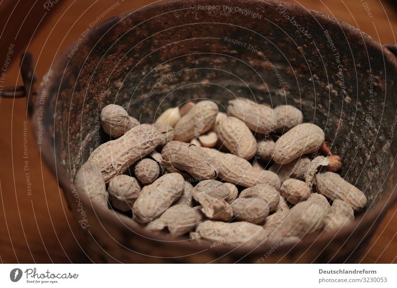 peanuts Food Roasted peanuts Peanuts in shell Legume Fat Vegetarian diet Healthy Hip & trendy Delicious Brown Colour photo Interior shot Close-up Detail